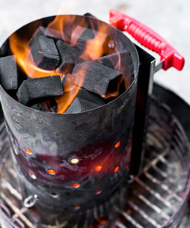 ProQ Coconut Shell Briquettes 10kg