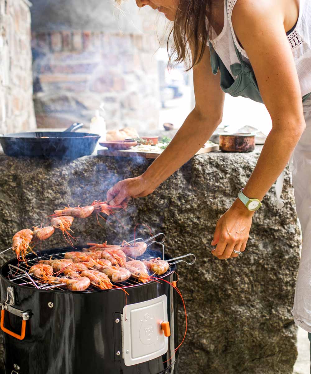 ProQ Frontier V4 BBQ Grilling Skewers